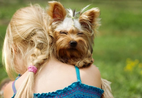 Can Owning a Dog Help Prevent Childhood Asthma?