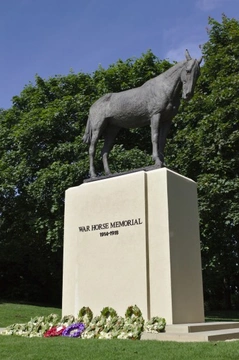 We Will Remember Them: The War Horses' Legacy