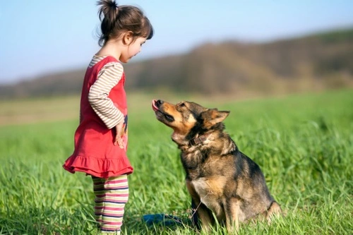 How to speak to your dog: 5 essential tips