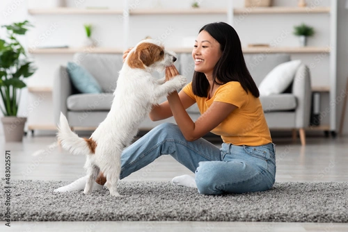 Jack Russell puppy training: Essential step-by-step tips for new owners