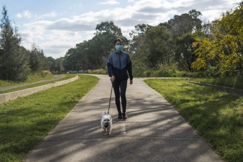 5 FAQs on UK Dog Walking Rules & Puppy Buying in 2025