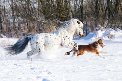 Riding Safely in Winter: Essential Tips for Cold Conditions