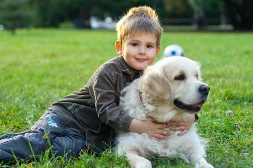 Cuidado de perros para niños según su edad: Guía familiar completa
