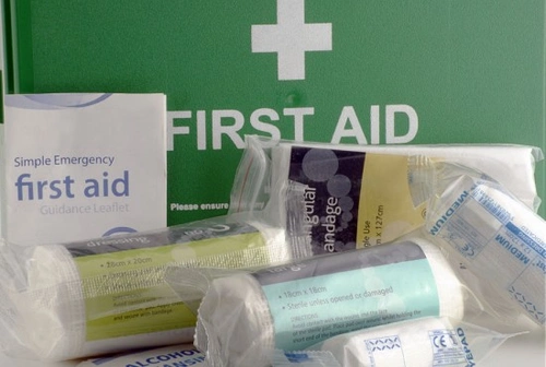 First Aid for Pets: Essential Emergency Care Guide