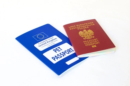 Dogs Trust exposes puppy smuggling and Pet Passport flaws