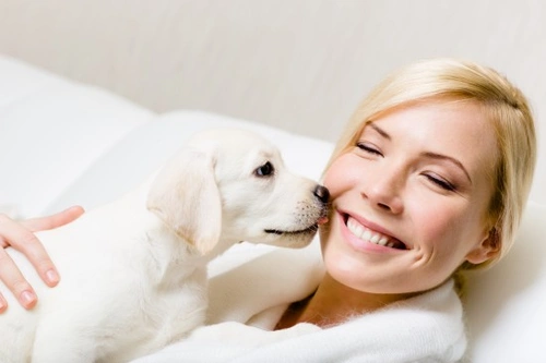 Why Dogs Lick Other Dogs or People on the Mouth