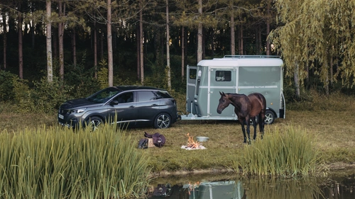 Det ska vara tryggt och enkelt att transportera häst. Fautras – Horse Friendly!