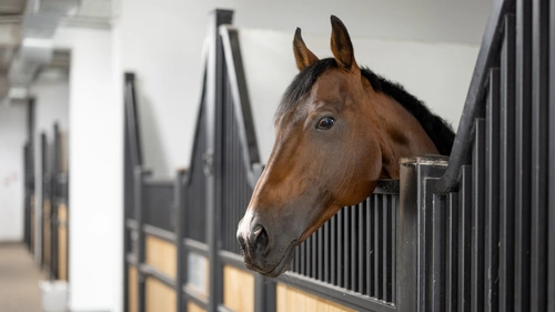 Så undviker du konflikter vid uthyrning av boxplats – avtalet är nyckeln