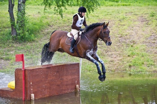 Cross Country Fences: Complete Guide for Eventing Riders