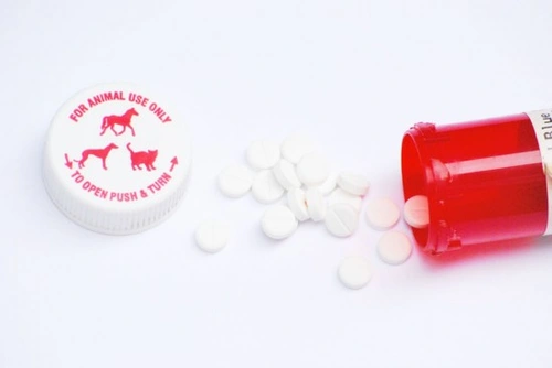 Pet Health and Antibiotics: Essential Guide for Owners