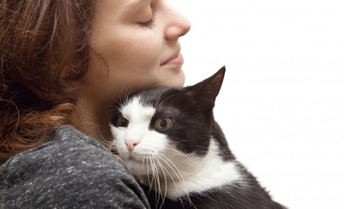 How Happy Is Your Cat About Being Cuddled?
