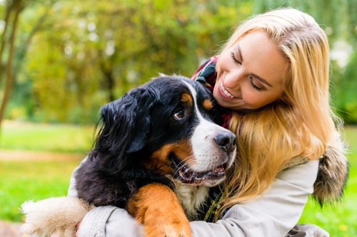 6 señales de que amas a los perros con locura – Rasgos de un verdadero amante