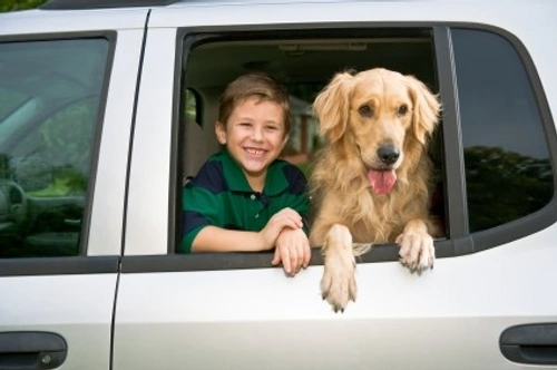Viajar con animales