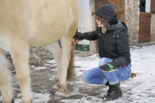 Winter Grooming Tips to Keep Your Horse Healthy