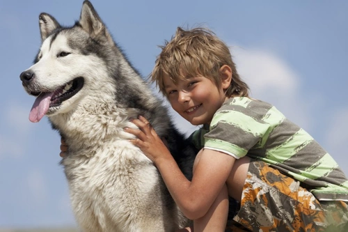 How to Support Your Children if Your Dog Goes Missing