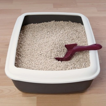Litter Tray Etiquette for Cat Owners: Essential Care Tips