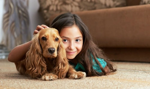 10 Fun Dog Facts to Teach Kids