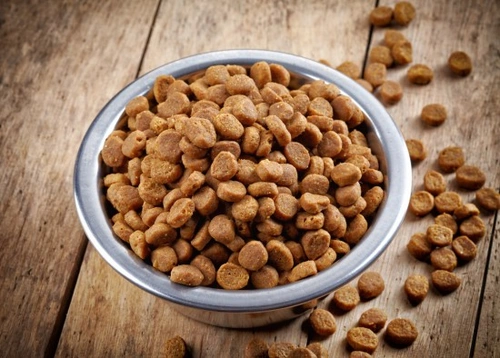 How to Make Dry Dog Food More Appealing: 7 Easy Tips