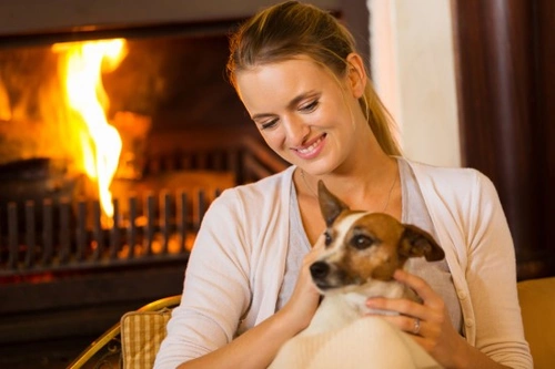 The Benefits of Fostering Rescue Dogs: 7 Key Advantages