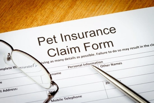 Pet Insurance Explained: Covers, Liability & Benefits