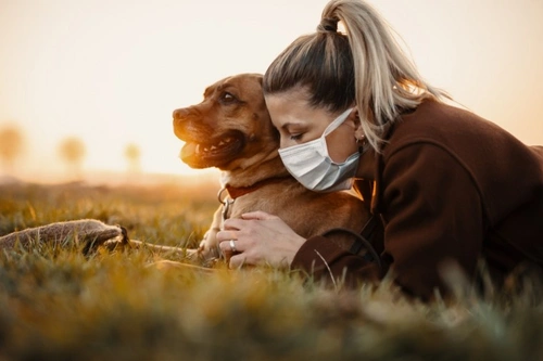 5 Lockdown Puppy Challenges UK Owners Face in 2025