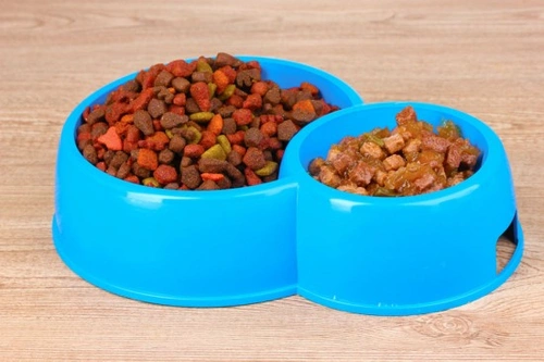 How to Choose the Right Dog Food: A Complete Guide