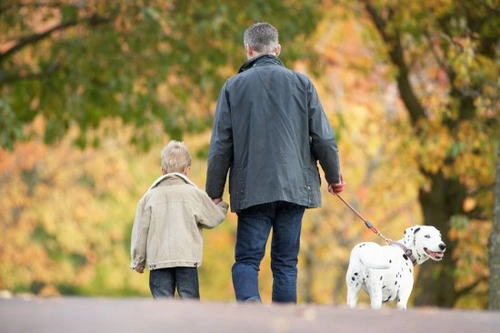 Volunteer Dog Walking: Help Dogs and Improve Your Life