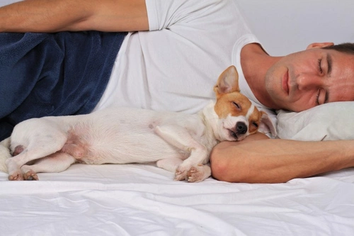 Cómo evitar que tus malos hábitos se conviertan en los de tu perro