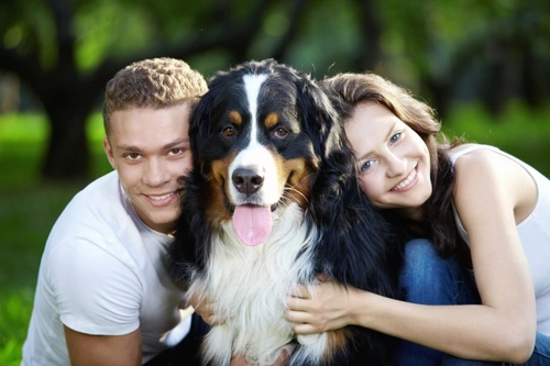 Can Dogs Tell Men and Women Apart? Understanding How They Do It