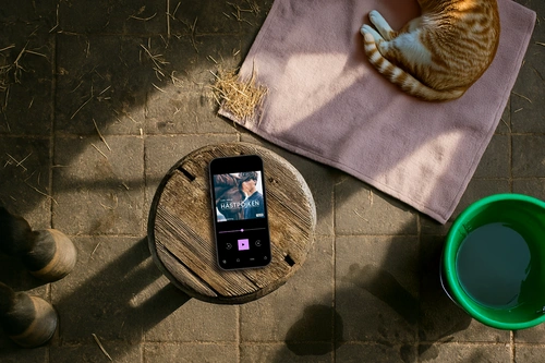 5 stallmoment du inte visste var perfekta för en ljudbok