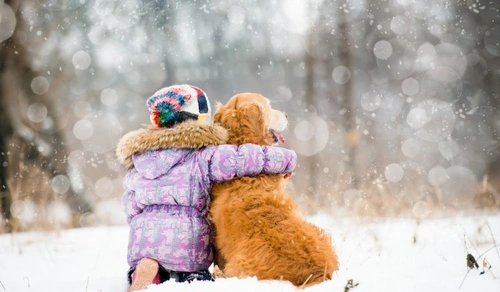 Peligros y Consejos para la Salud de tu Perro en Navidad