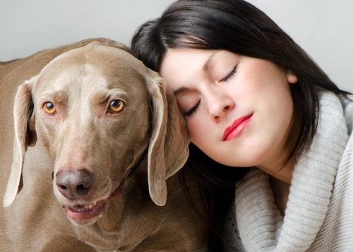 Should you consider another pet after losing one?