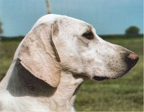 Billy