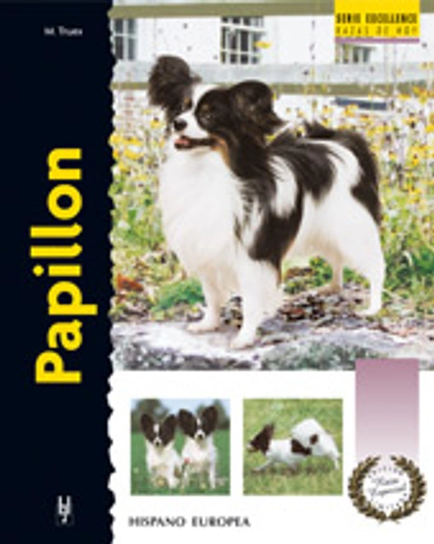 Vlinderhondje Dogs Ras: Karakter, Levensduur & Prijs | Puppyplaats