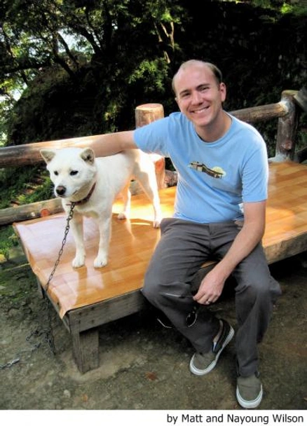 Perro Jindo Coreano Dogs Raza - Características, Fotos & Precio | MundoAnimalia