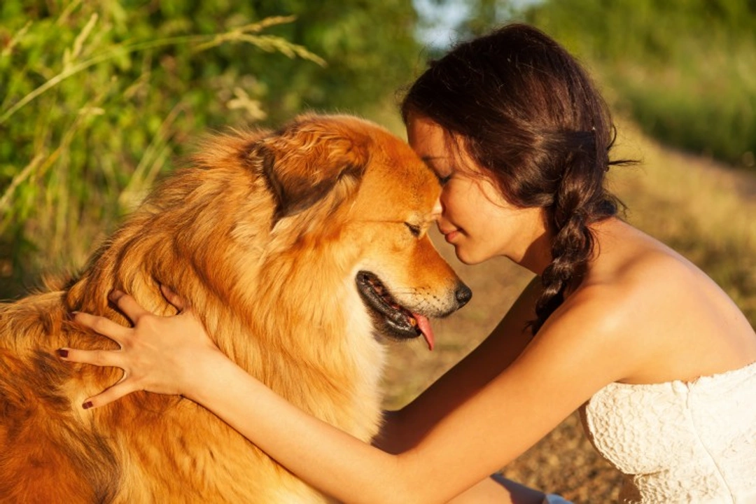 Signs Your Dog Really Loves You: 10 Heartwarming Signs