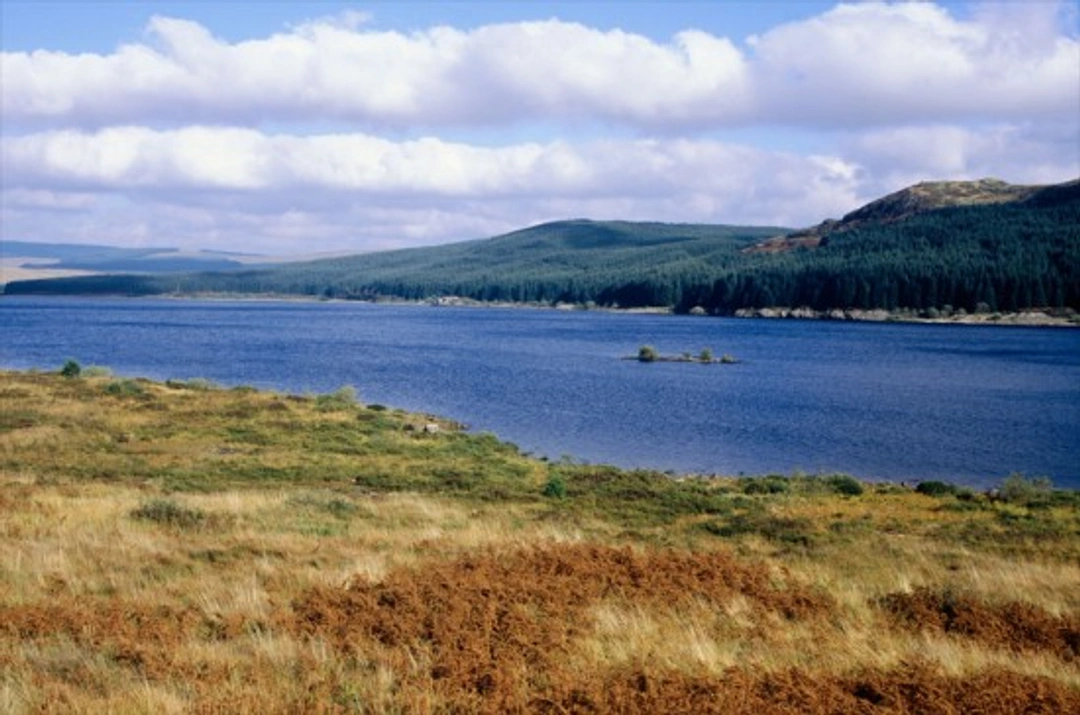 Scottish Outdoor Access Code: What Every Dog Owner Should Know