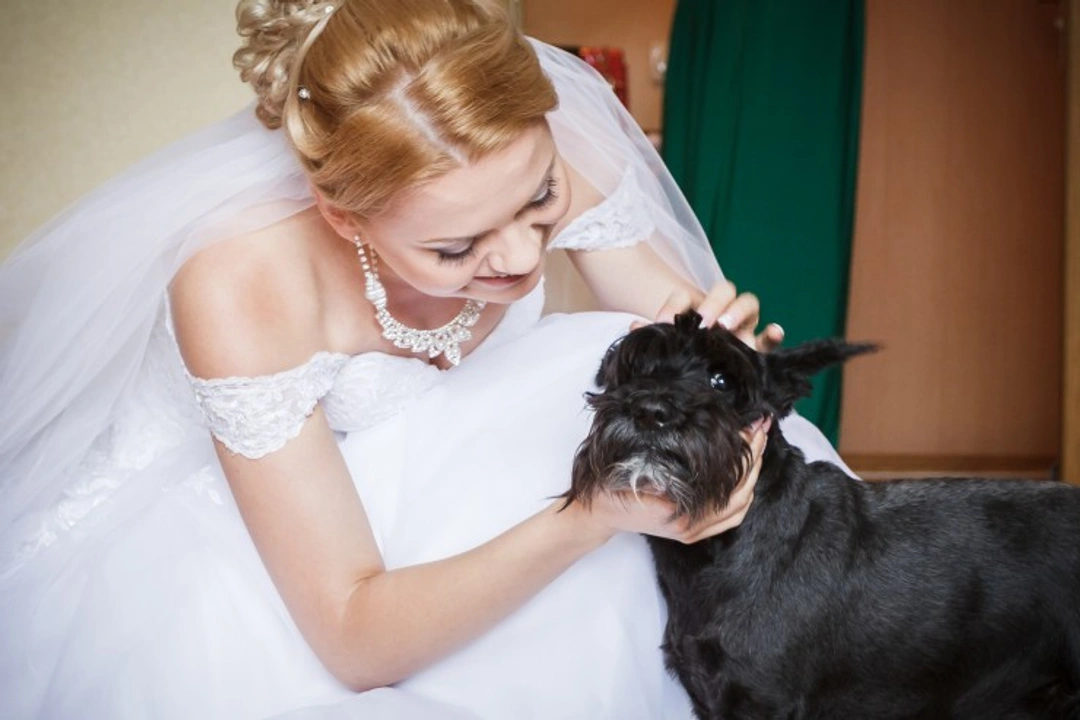 Including Your Dog in Your Wedding: Tips & Important Advice