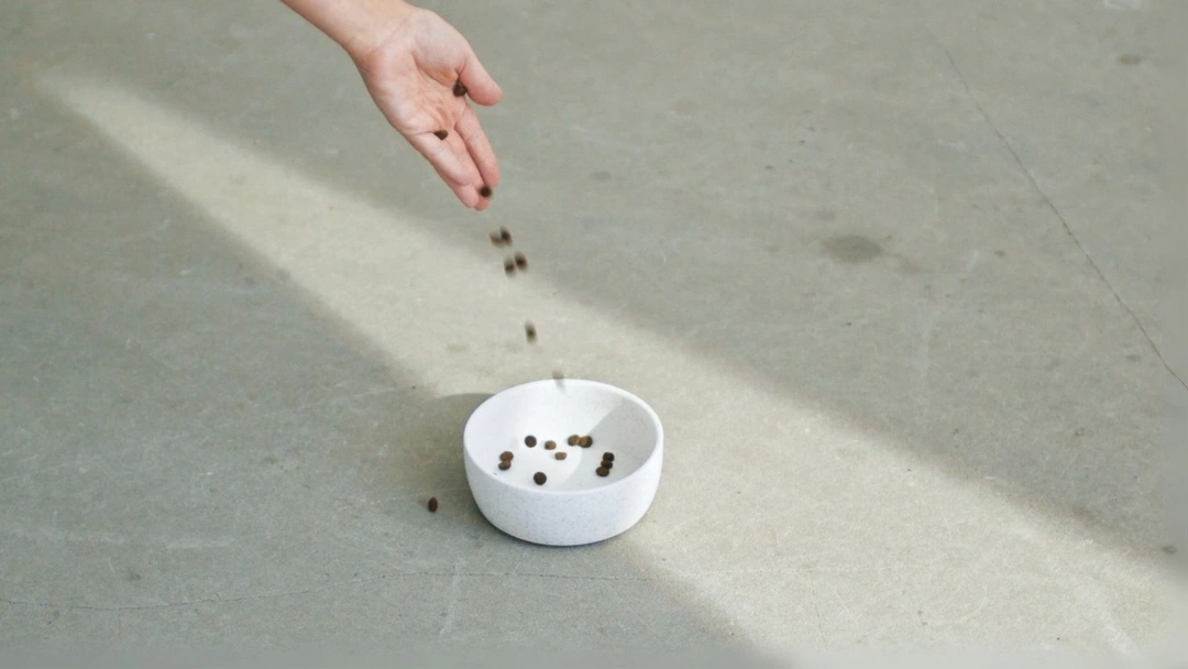 Har du smakat på maten du ger till din hund eller katt?