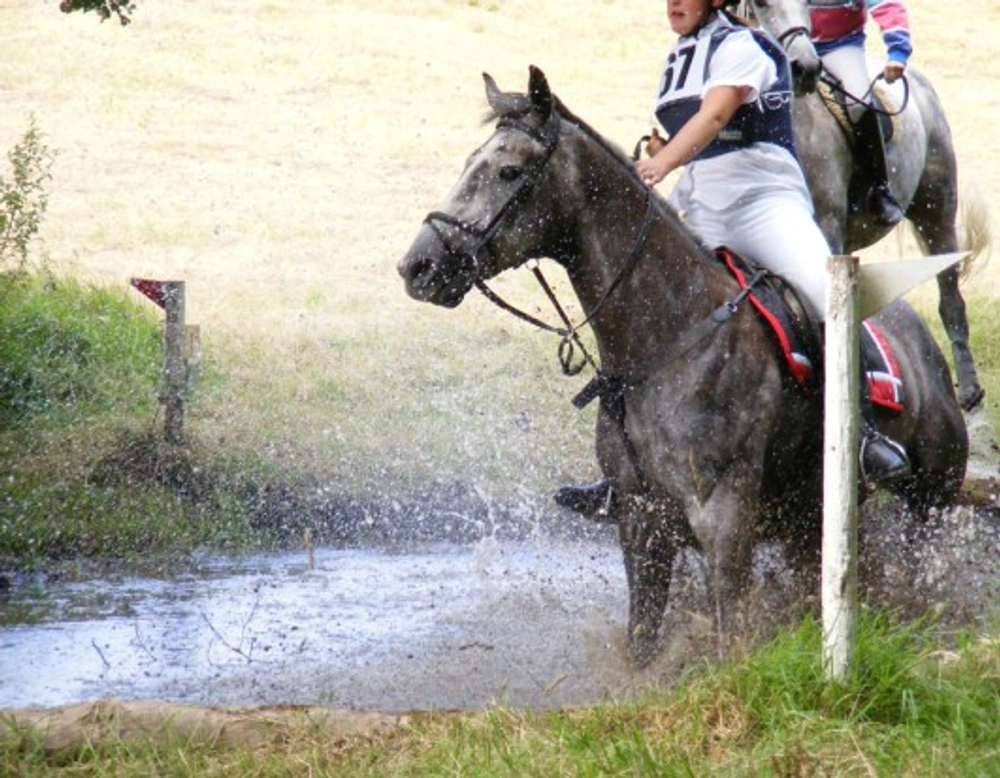Introduction to Cross Country Horse Riding: A Comprehensive Guide