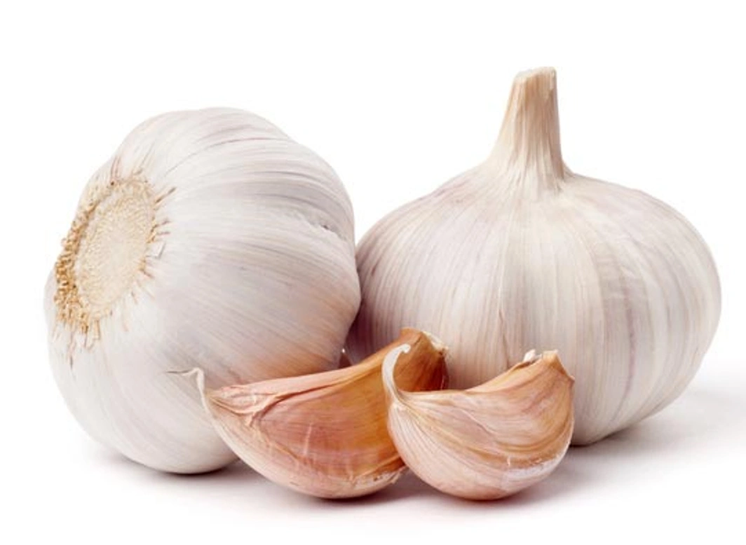 Knoflook giftig voor honden