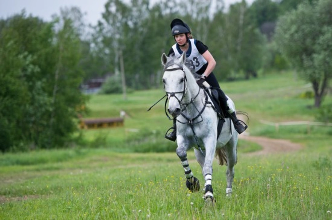 Introduction to Endurance Riding: A Complete Guide