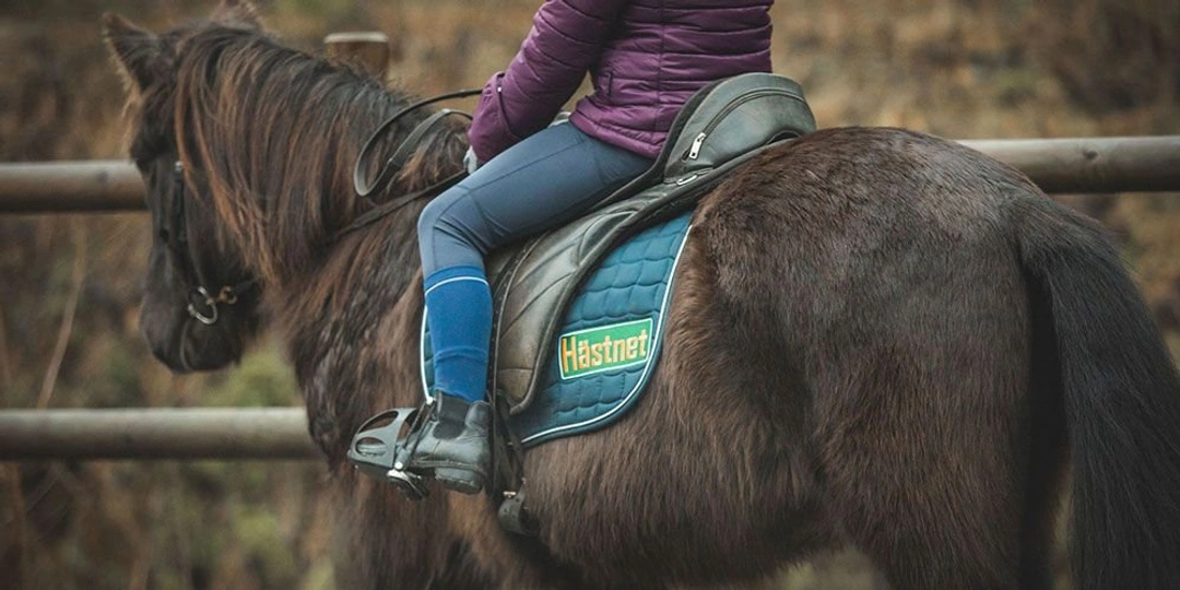 Redo för nya utmaningar? Hästnet söker ny medarbetare i Stockholm