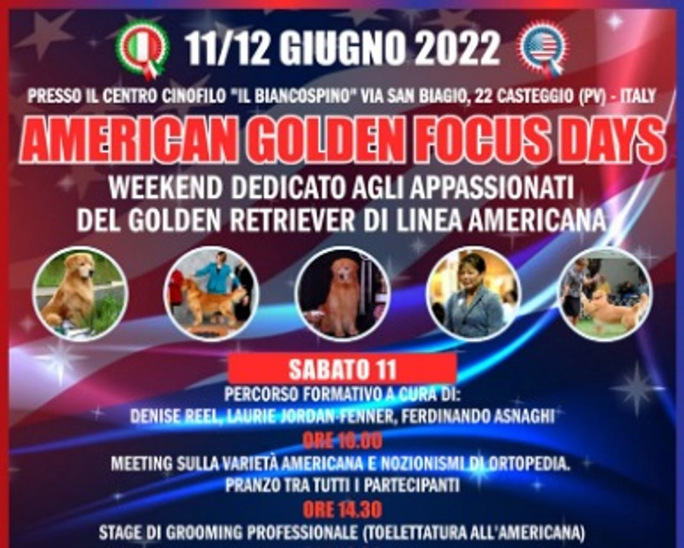 Il Golden Retriever di linea americana a Casteggio l'11 e 12 Giugno