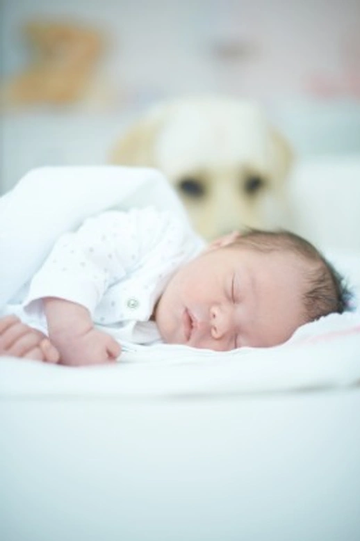How Male Dogs Adapt to a New Baby: A Helpful Guide