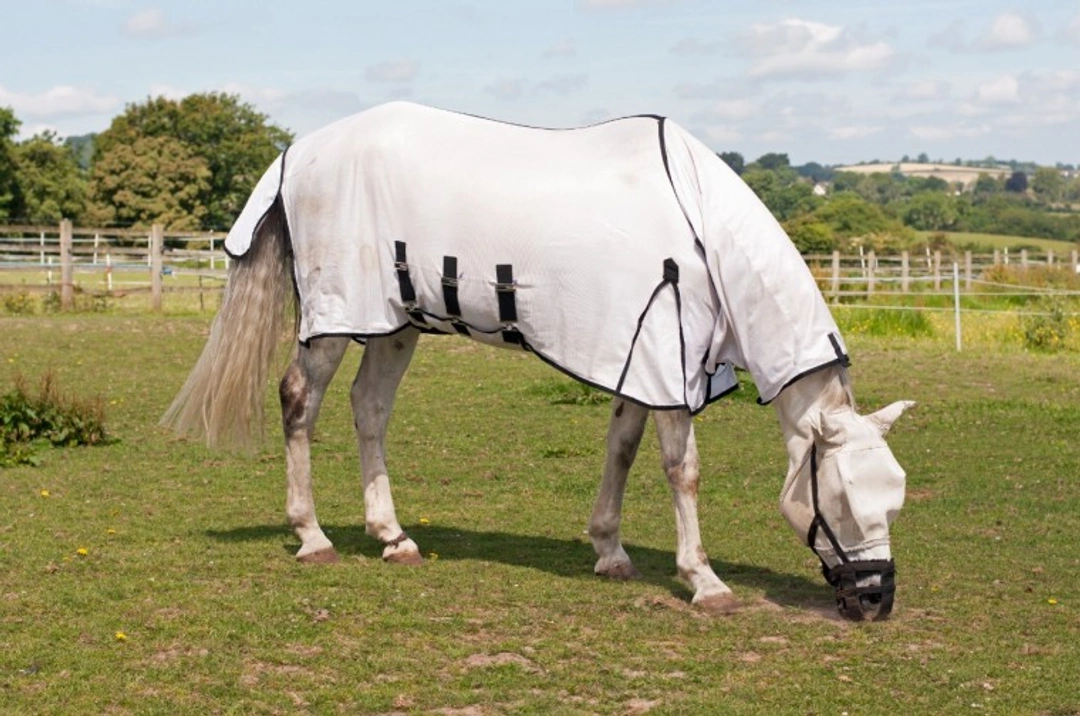 The Flies Are Coming!