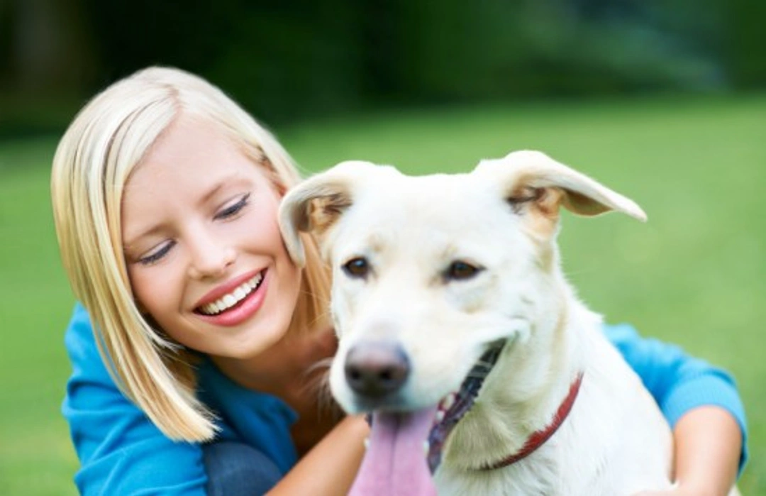 Lifetime Pet Insurance: A Complete UK Guide to Coverage Benefits