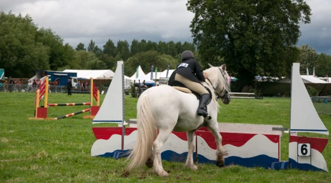 Falling from Your Horse: How to Fall Safely Every Time