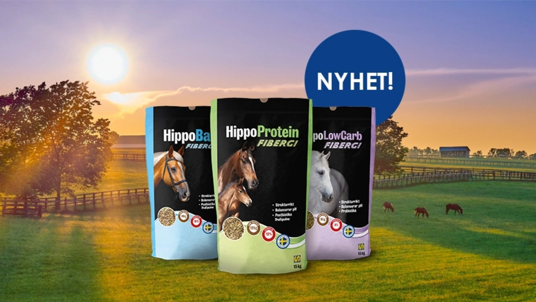 Fibergi tar steget in i framtiden!