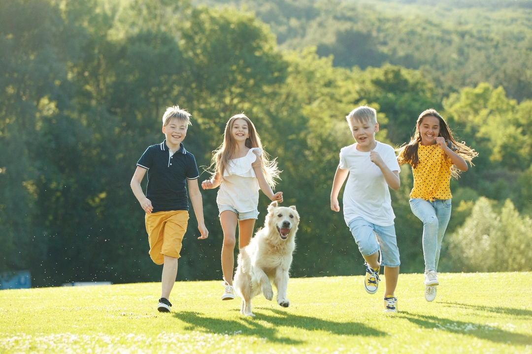 Kids birthday parties and dogs: Key hazards and problems to avoid